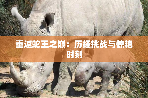 重返蛇王之巅：历经挑战与惊艳时刻