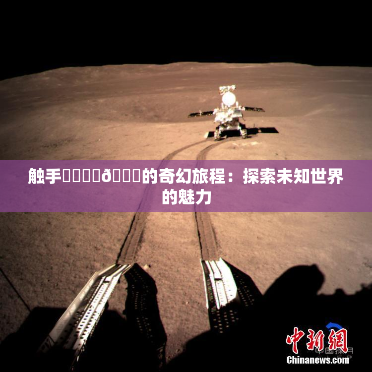 触手❌‌❌‌🔞的奇幻旅程：探索未知世界的魅力