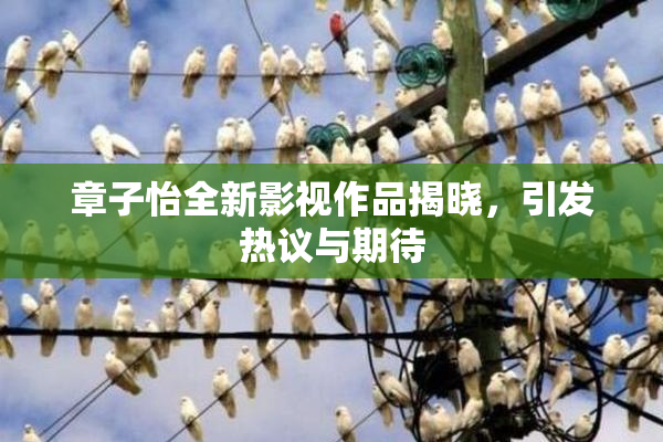 章子怡全新影视作品揭晓，引发热议与期待