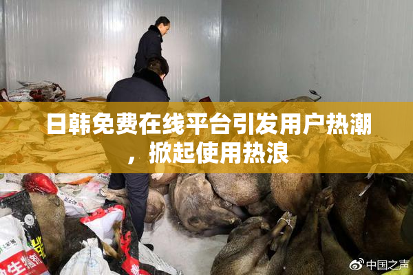 日韩免费在线平台引发用户热潮，掀起使用热浪