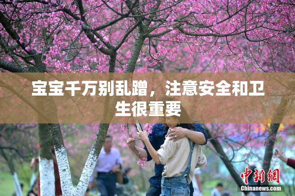 宝宝千万别乱蹭，注意安全和卫生很重要