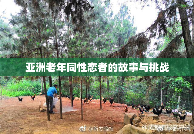 亚洲老年同性恋者的故事与挑战