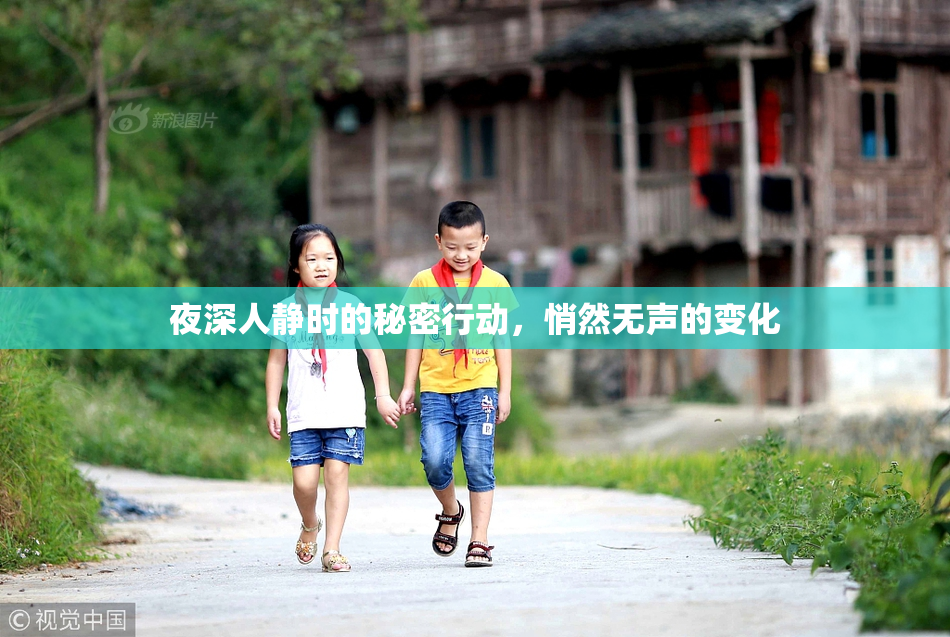 夜深人静时的秘密行动，悄然无声的变化