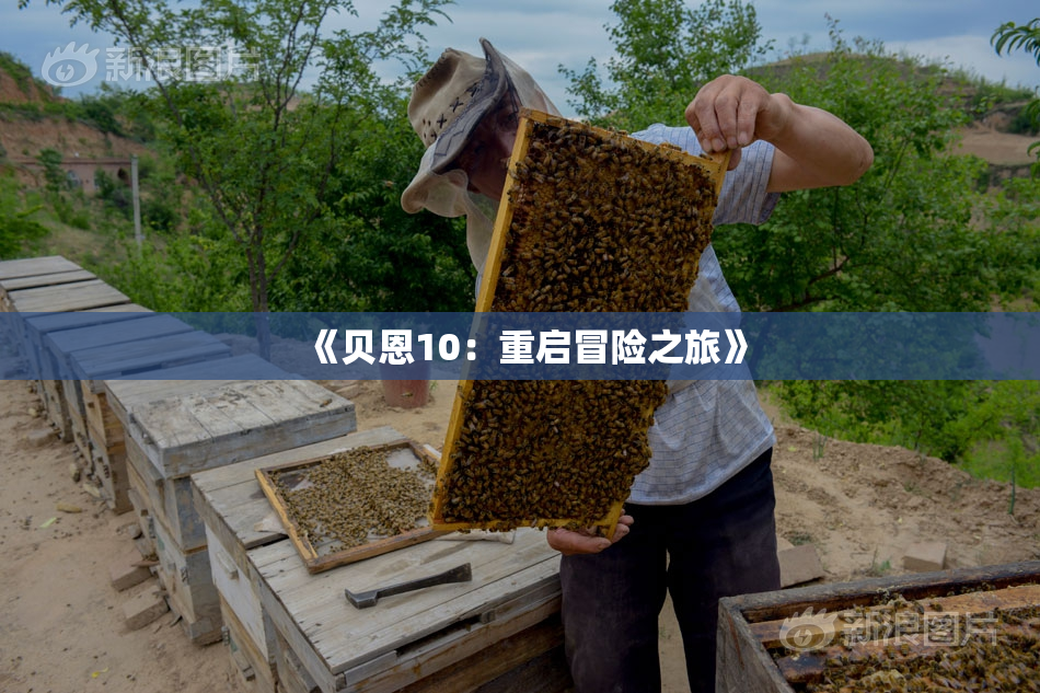 《贝恩10：重启冒险之旅》