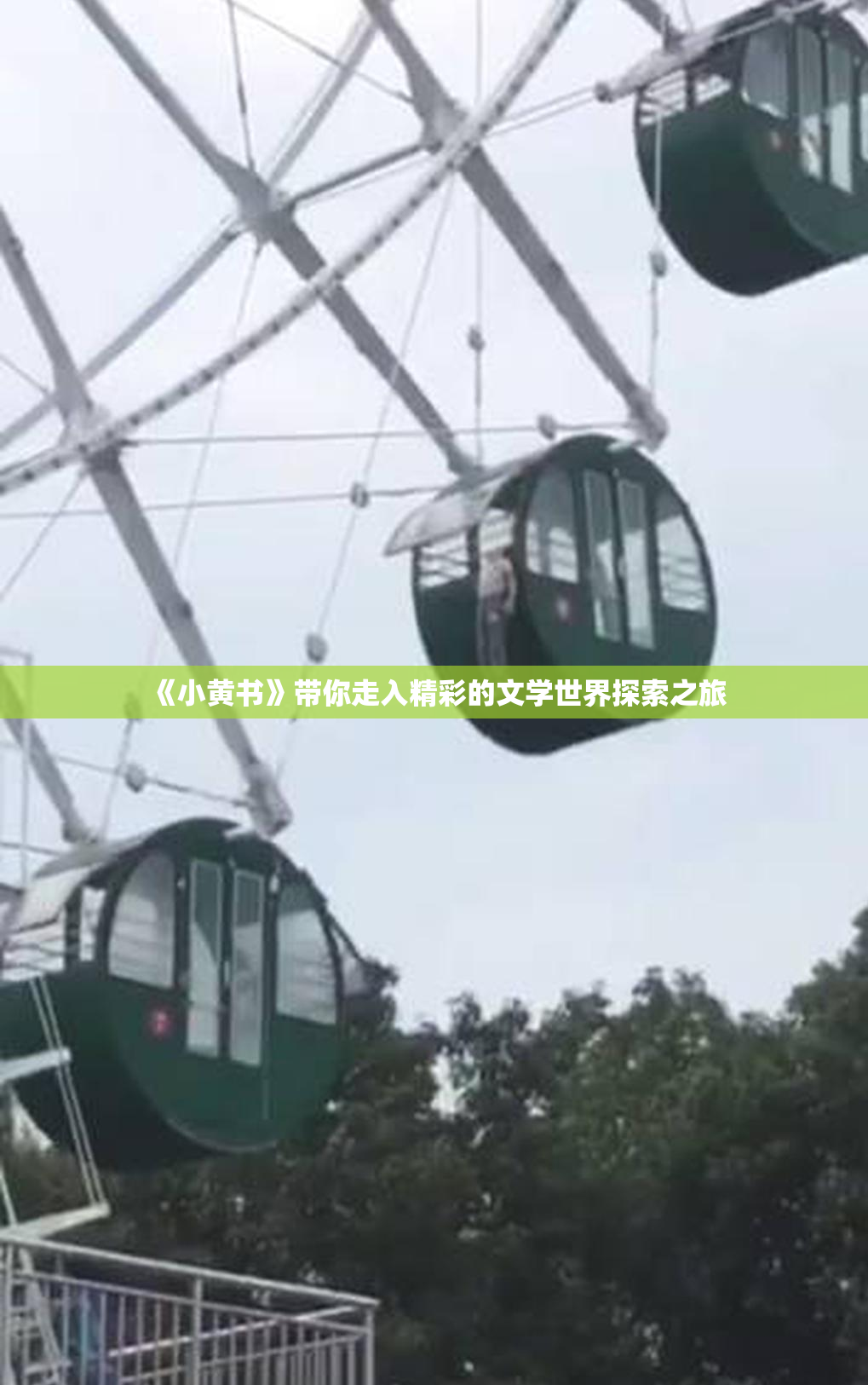 《小黄书》带你走入精彩的文学世界探索之旅