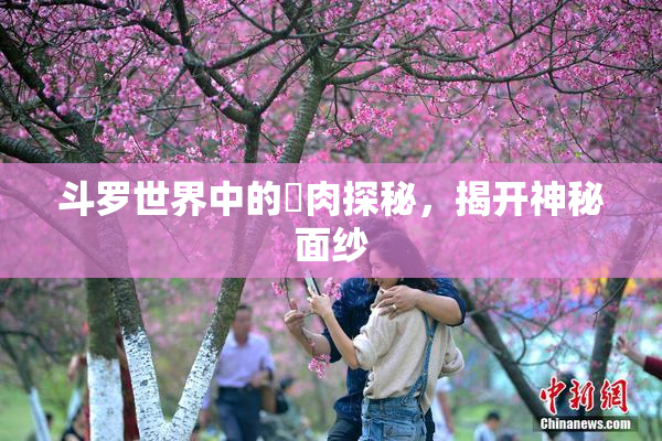 斗罗世界中的婬肉探秘，揭开神秘面纱