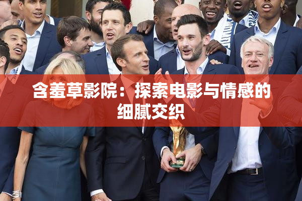 含羞草影院：探索电影与情感的细腻交织