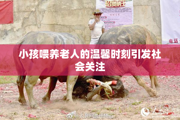 小孩喂养老人的温馨时刻引发社会关注