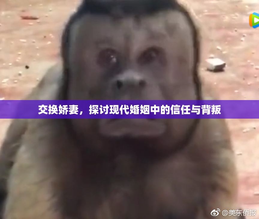交换娇妻，探讨现代婚姻中的信任与背叛