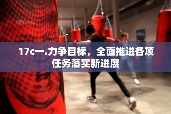17c一.力争目标，全面推进各项任务落实新进展