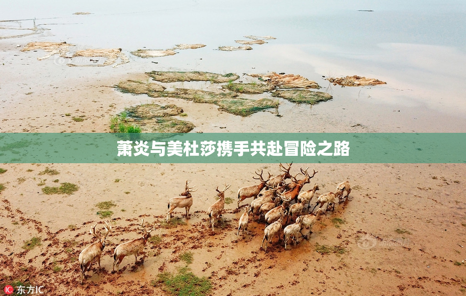 萧炎与美杜莎携手共赴冒险之路