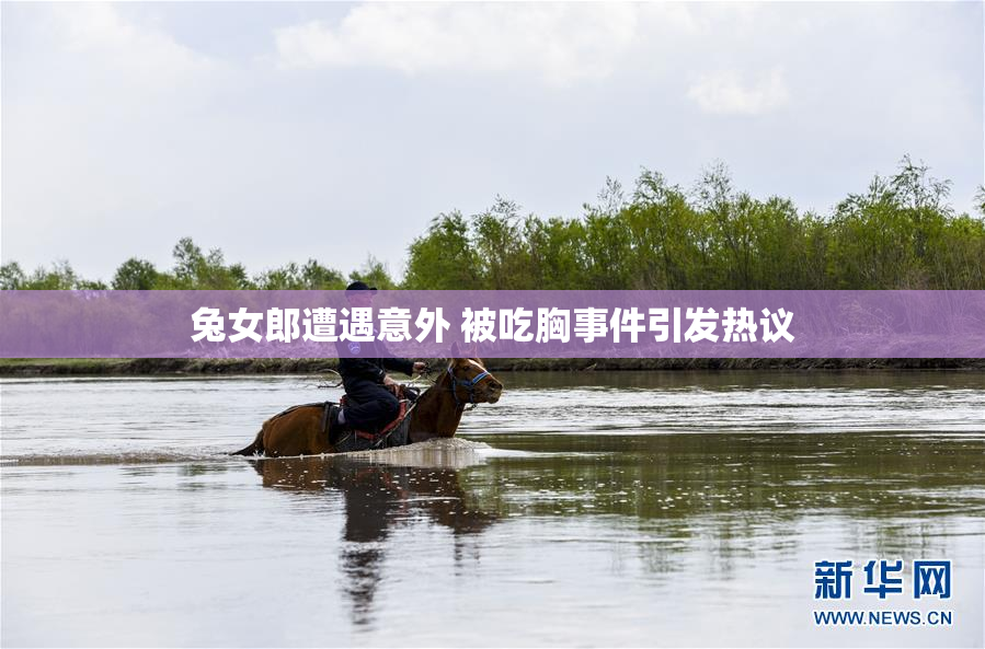 兔女郎遭遇意外 被吃胸事件引发热议