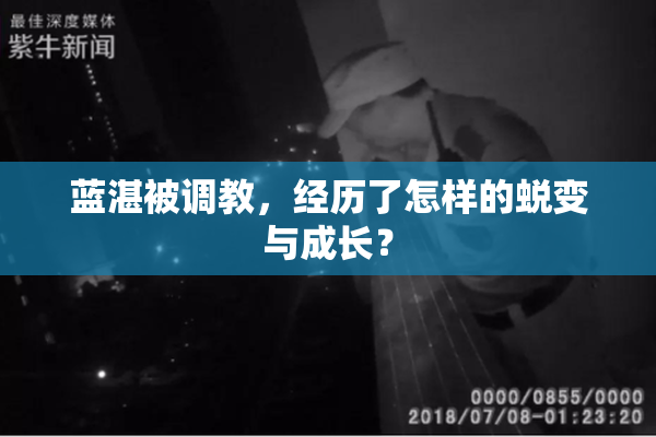 蓝湛被调教，经历了怎样的蜕变与成长？