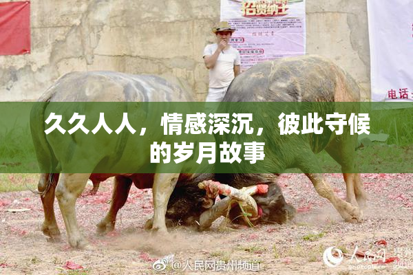 久久人人，情感深沉，彼此守候的岁月故事