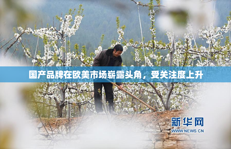国产品牌在欧美市场崭露头角，受关注度上升