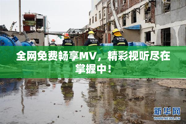 全网免费畅享MV，精彩视听尽在掌握中！