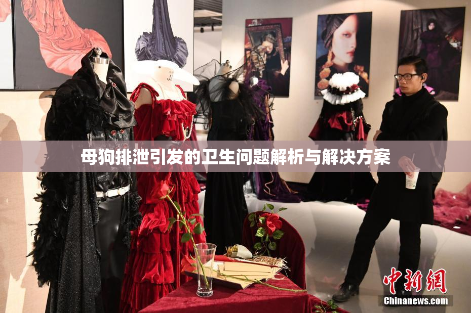 母狗排泄引发的卫生问题解析与解决方案