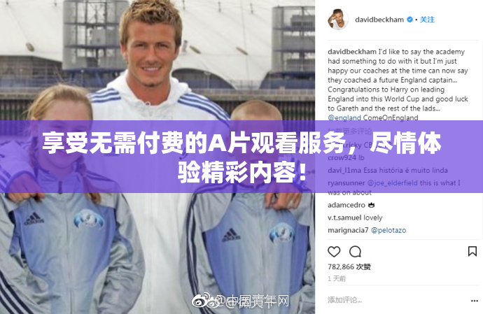 享受无需付费的A片观看服务，尽情体验精彩内容！