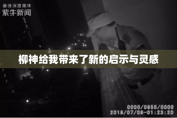柳神给我带来了新的启示与灵感