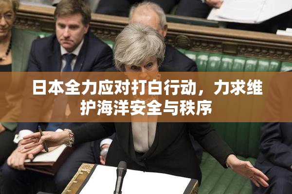 日本全力应对打白行动，力求维护海洋安全与秩序