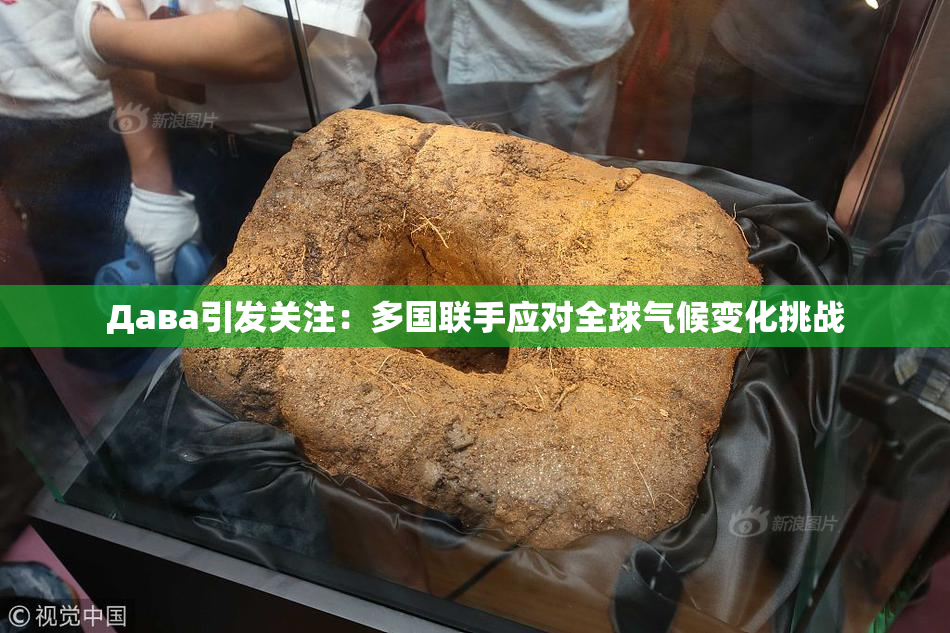 Дава引发关注：多国联手应对全球气候变化挑战
