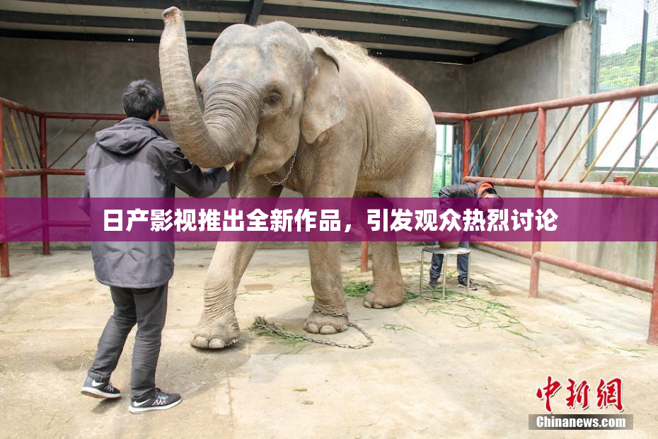 日产影视推出全新作品，引发观众热烈讨论