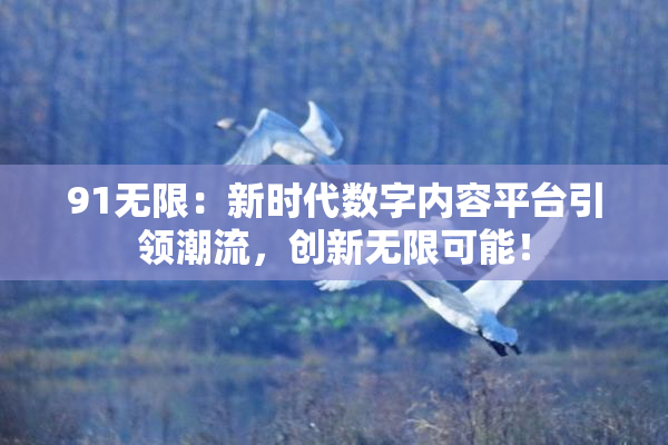 91无限：新时代数字内容平台引领潮流，创新无限可能！