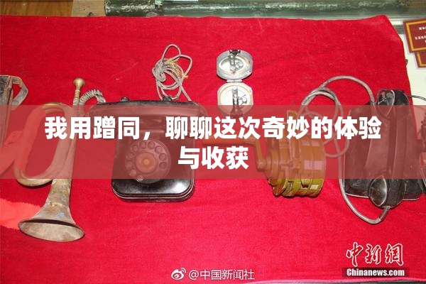 我用蹭同，聊聊这次奇妙的体验与收获
