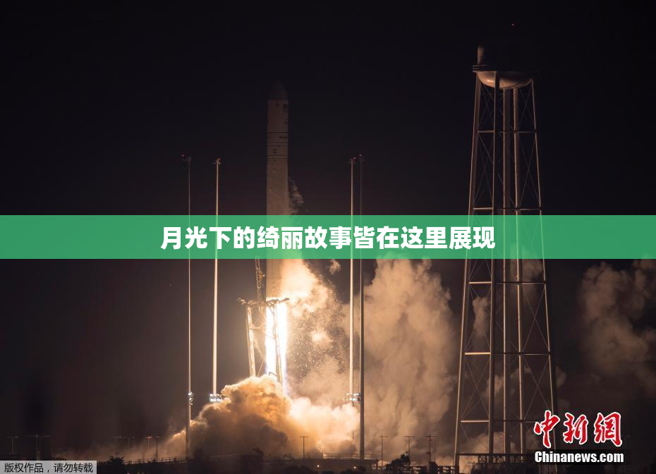 月光下的绮丽故事皆在这里展现