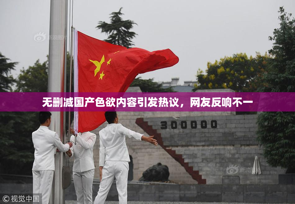 无删减国产色欲内容引发热议，网友反响不一