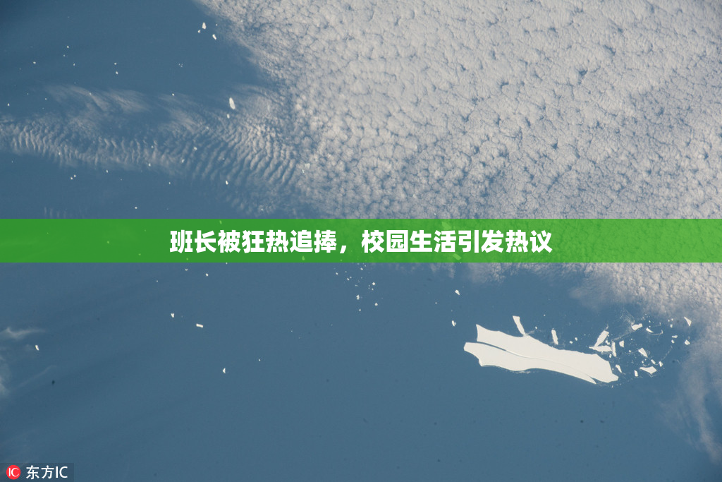 班长被狂热追捧，校园生活引发热议