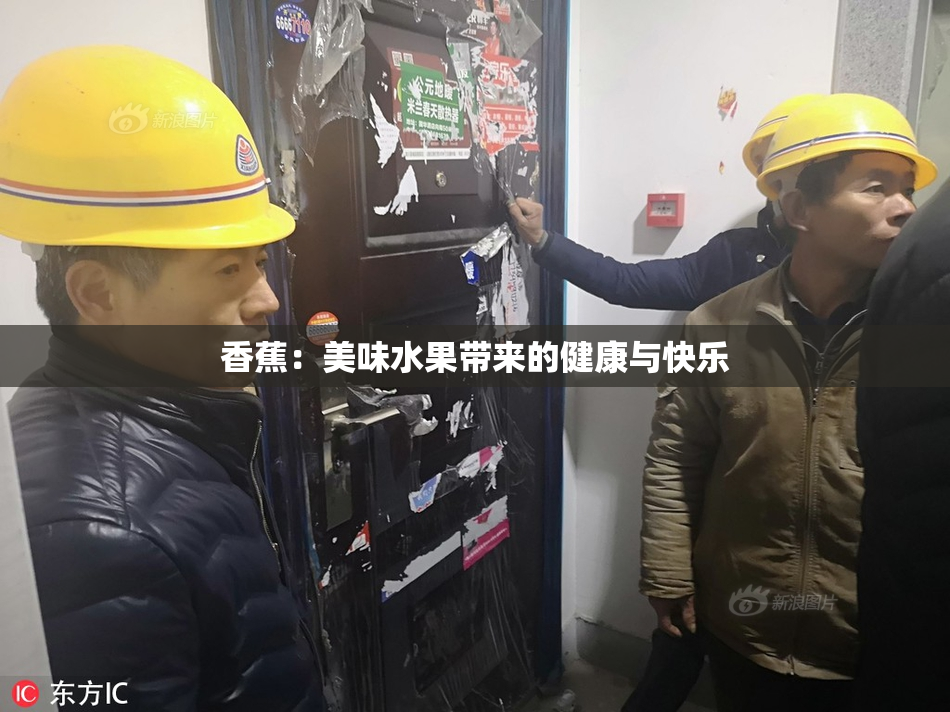 香蕉：美味水果带来的健康与快乐