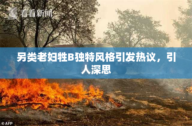 另类老妇牲B独特风格引发热议，引人深思
