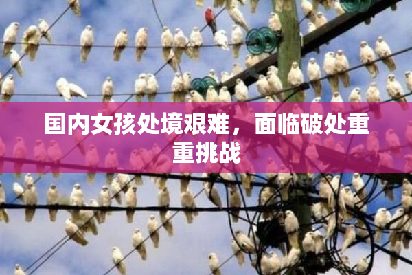 国内女孩处境艰难，面临破处重重挑战