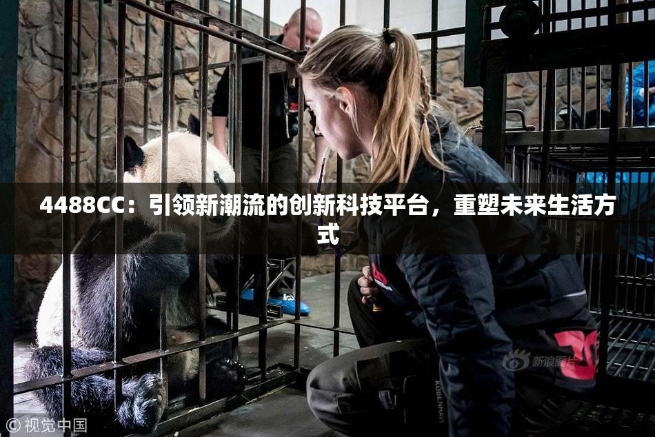 4488CC：引领新潮流的创新科技平台，重塑未来生活方式