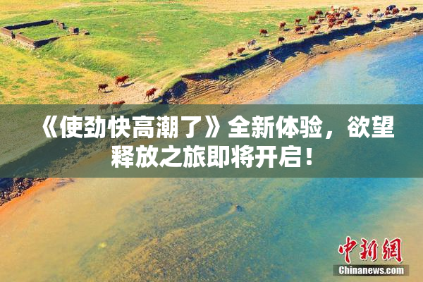 《使劲快高潮了》全新体验，欲望释放之旅即将开启！