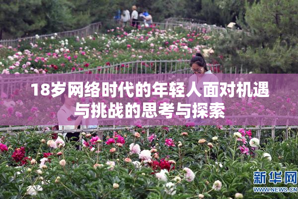 18岁网络时代的年轻人面对机遇与挑战的思考与探索