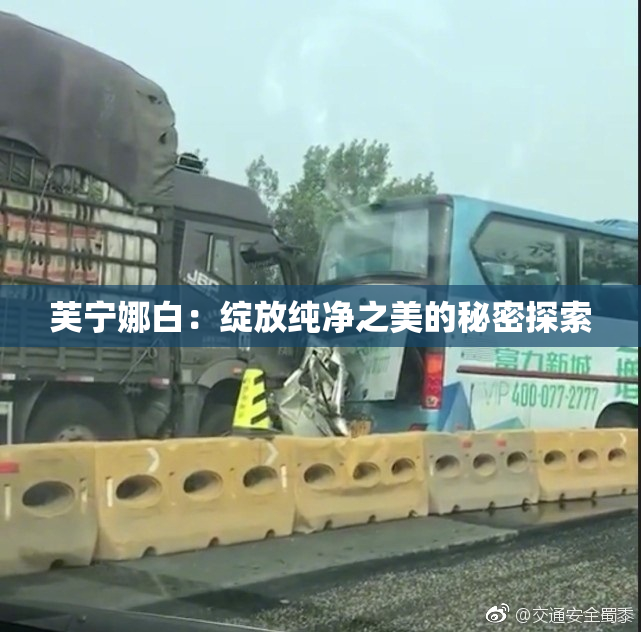 芙宁娜白：绽放纯净之美的秘密探索