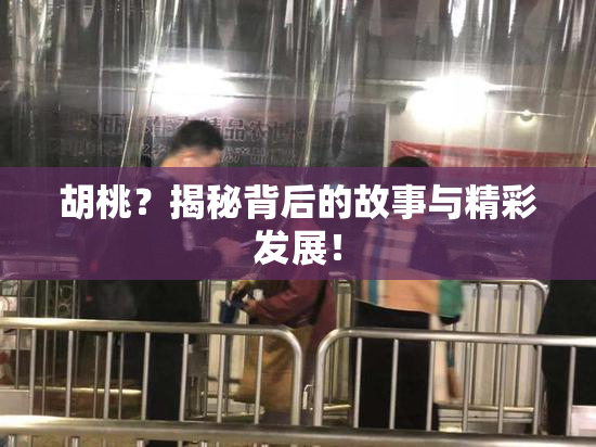 胡桃？揭秘背后的故事与精彩发展！