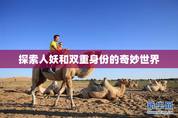 探索人妖和双重身份的奇妙世界