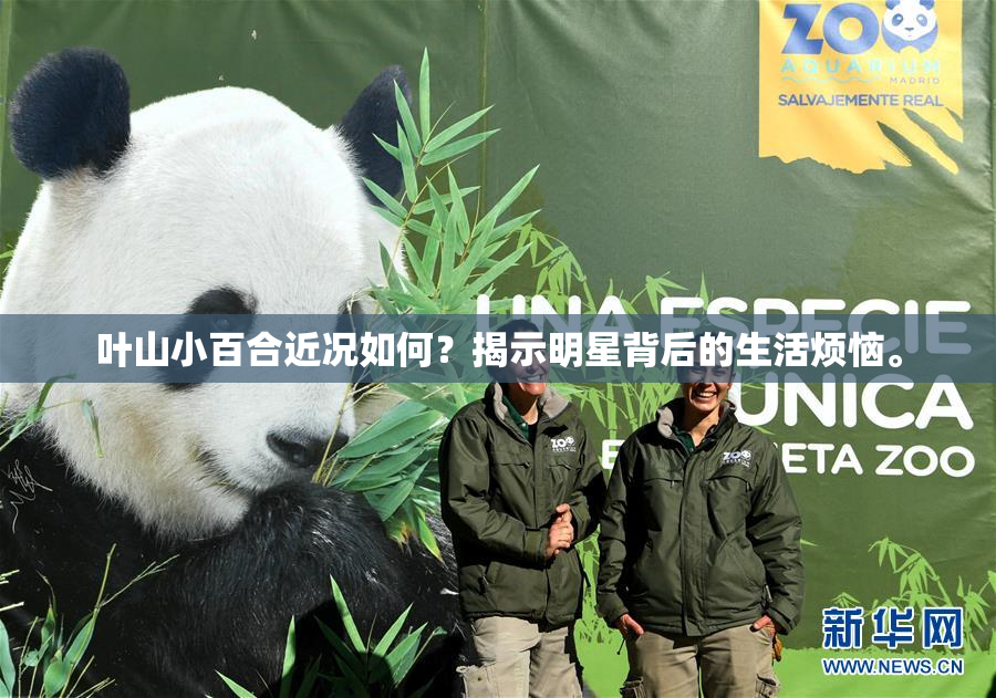 叶山小百合近况如何？揭示明星背后的生活烦恼。