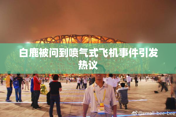 白鹿被问到喷气式飞机事件引发热议