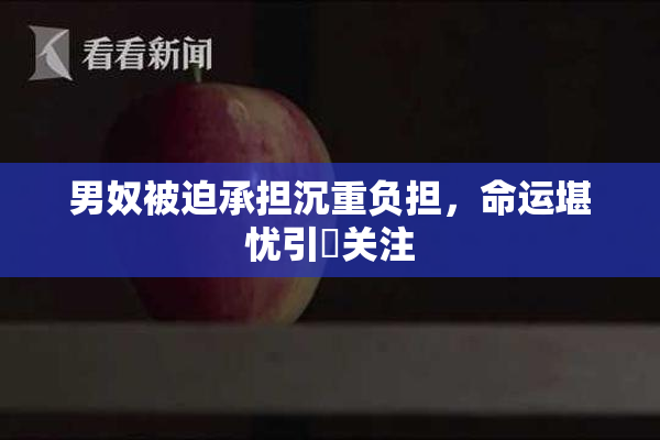 男奴被迫承担沉重负担，命运堪忧引発关注