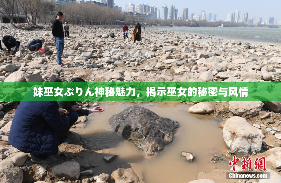 妹巫女ぷりん神秘魅力，揭示巫女的秘密与风情