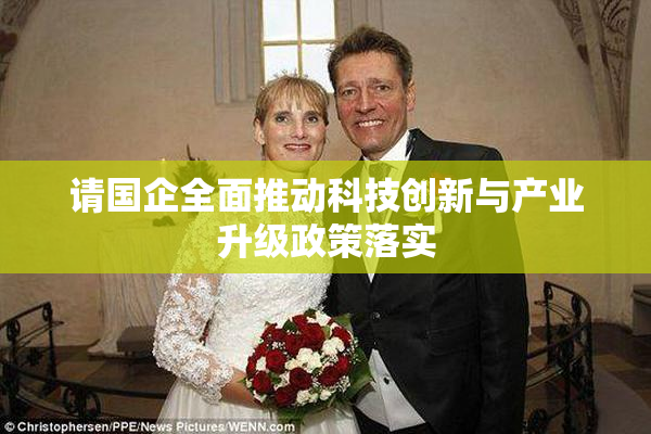 请国企全面推动科技创新与产业升级政策落实