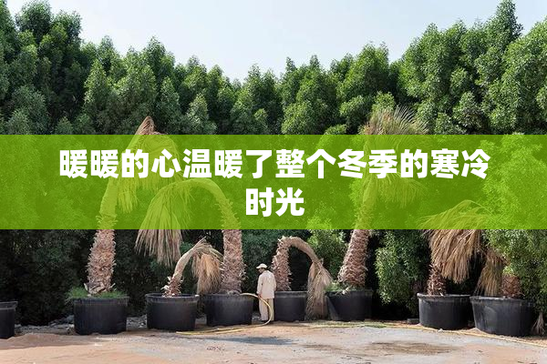 暖暖的心温暖了整个冬季的寒冷时光