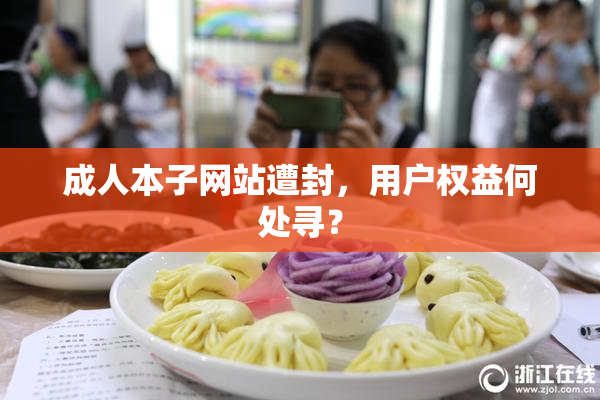 成人本子网站遭封，用户权益何处寻？