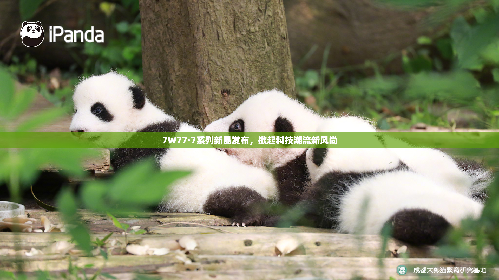 7W77·7系列新品发布，掀起科技潮流新风尚