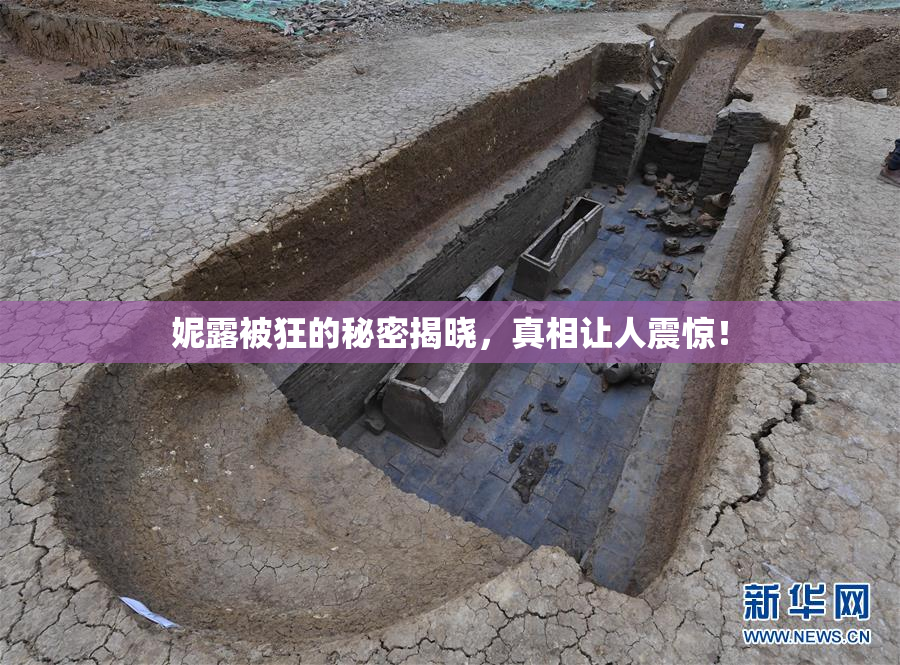 妮露被狂的秘密揭晓，真相让人震惊！