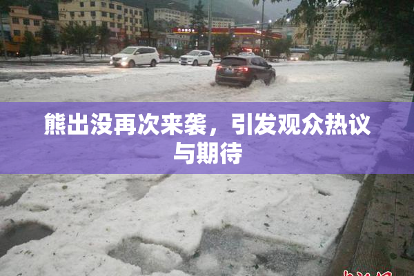 熊出没再次来袭，引发观众热议与期待